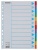 Regiszter, karton, A4, 12 részes, írható előlappal, ESSELTE "Standard", színes
